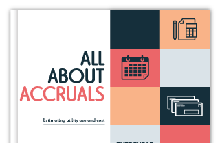 eBook_pageBottom_allAboutAccruals