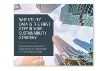 eBook_utilityData_sustainabilityStrategy